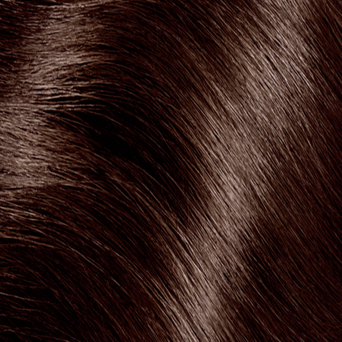 Clairol Tinte permanente Nice'n Easy para el cabello, color castaño frío medio 5C, - La Tiendita de la Jose