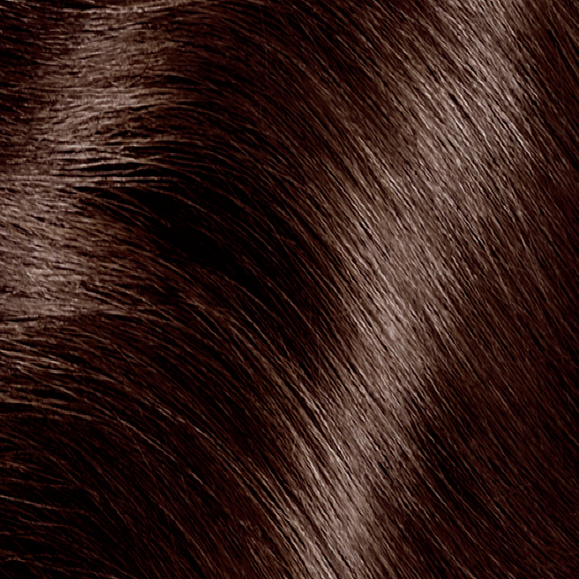 Clairol Tinte permanente Nice'n Easy para el cabello, color castaño frío medio 5C, - La Tiendita de la Jose