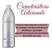 Shampoo Color Amethyste 1l Farmavita Restaura Protege Brillo