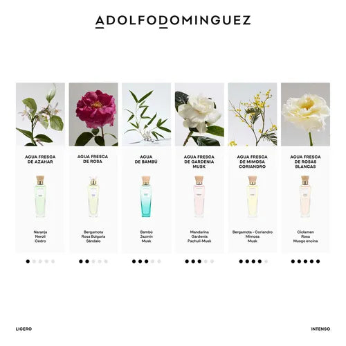 Perfume Mujer Adolfo Domínguez Agua De Bambú Edt 120ml - Distribuidor Autorizado