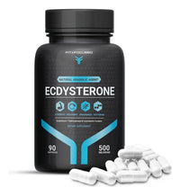 Supplement Fit And Focused Ecdysterone 500mg 90 Capsules